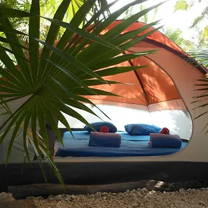 Turquesa Jungle Camping Campsite Tulum